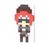 天開司 2Dプレート+カラビナ付きケース